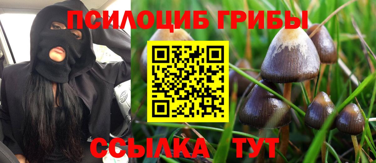 Галлюциногенные грибы MAGIC MUSHROOMS Мончегорск