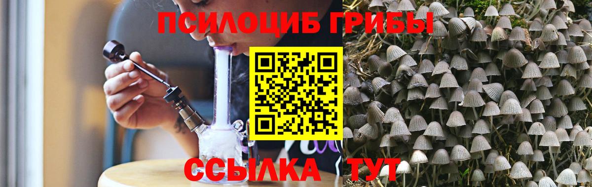 Мончегорск  даркнет сайт  Вход с VPN  Галлюциногенные грибы прущие грибы 